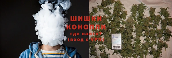 PSILOCYBIN Армянск