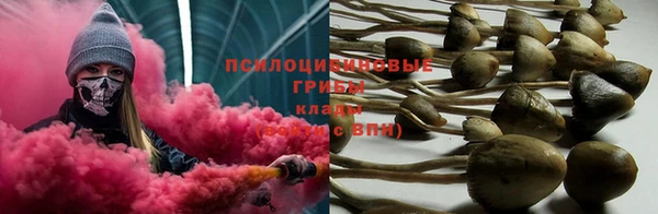 PSILOCYBIN Армянск