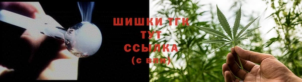 тгк Аркадак