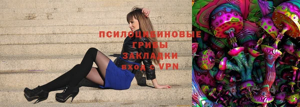 PSILOCYBIN Армянск