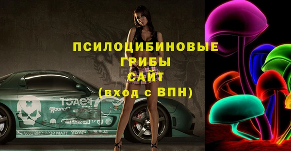 тгк Аркадак