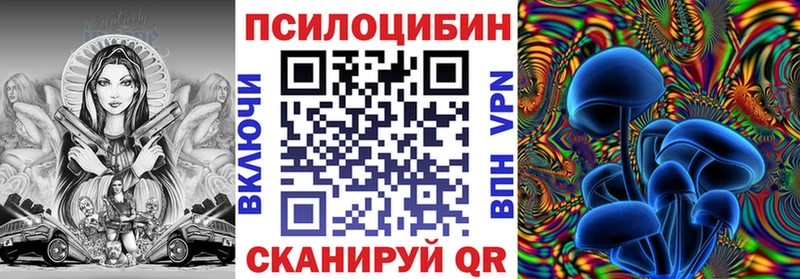 дарк нет какой сайт  Ахтубинск  Псилоцибиновые грибы Psilocybe 